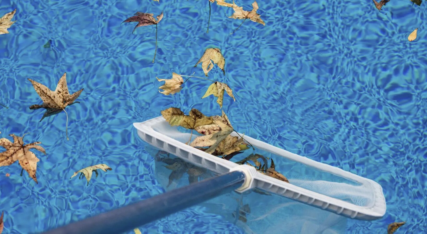 Pool skimmer removing leaves and debris during green pool restoration in Costa Mesa, CA